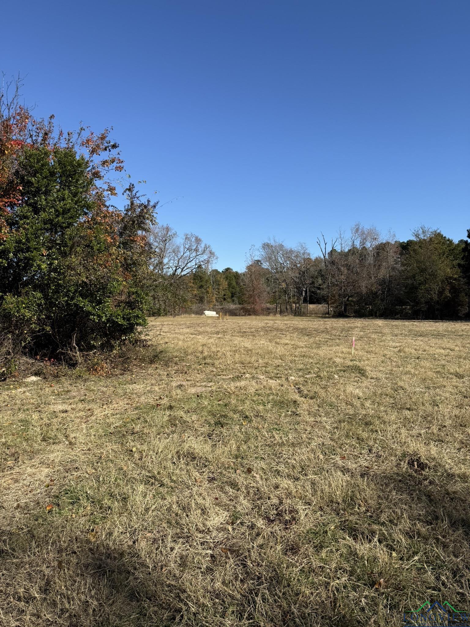 TBD W Bluebird Rd, Gilmer, Texas image 9