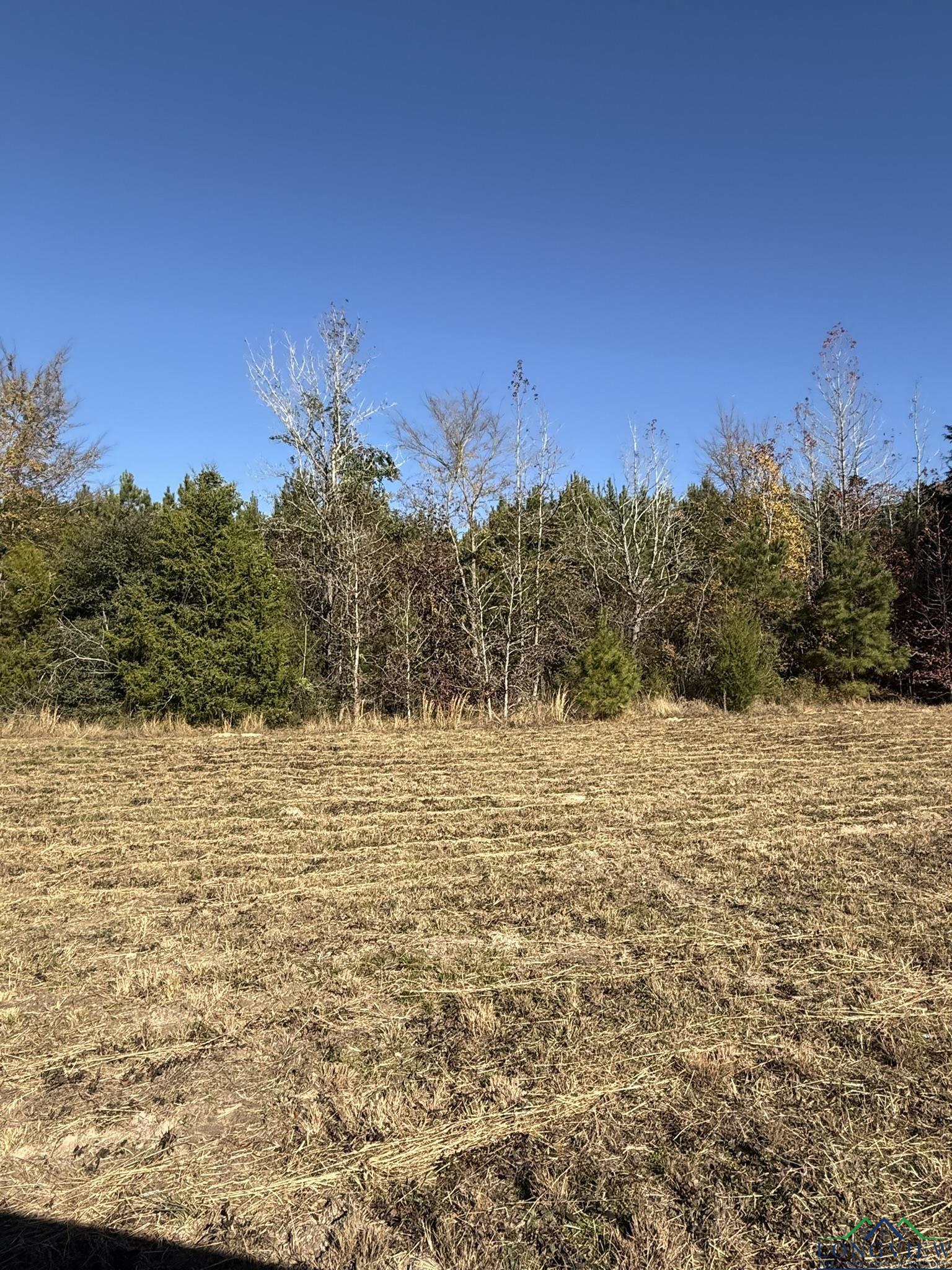 TBD W Bluebird Rd, Gilmer, Texas image 31