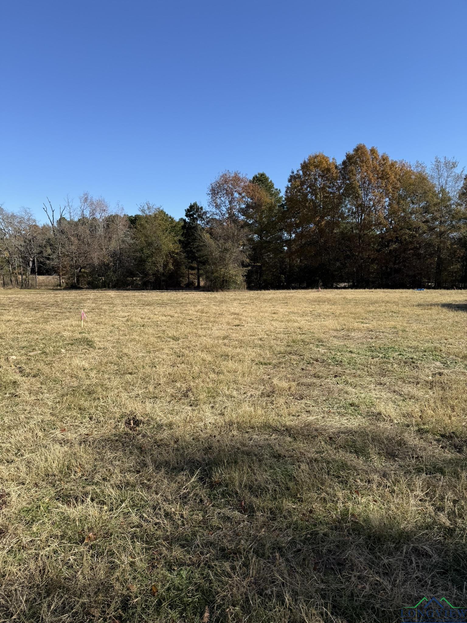 TBD W Bluebird Rd, Gilmer, Texas image 7