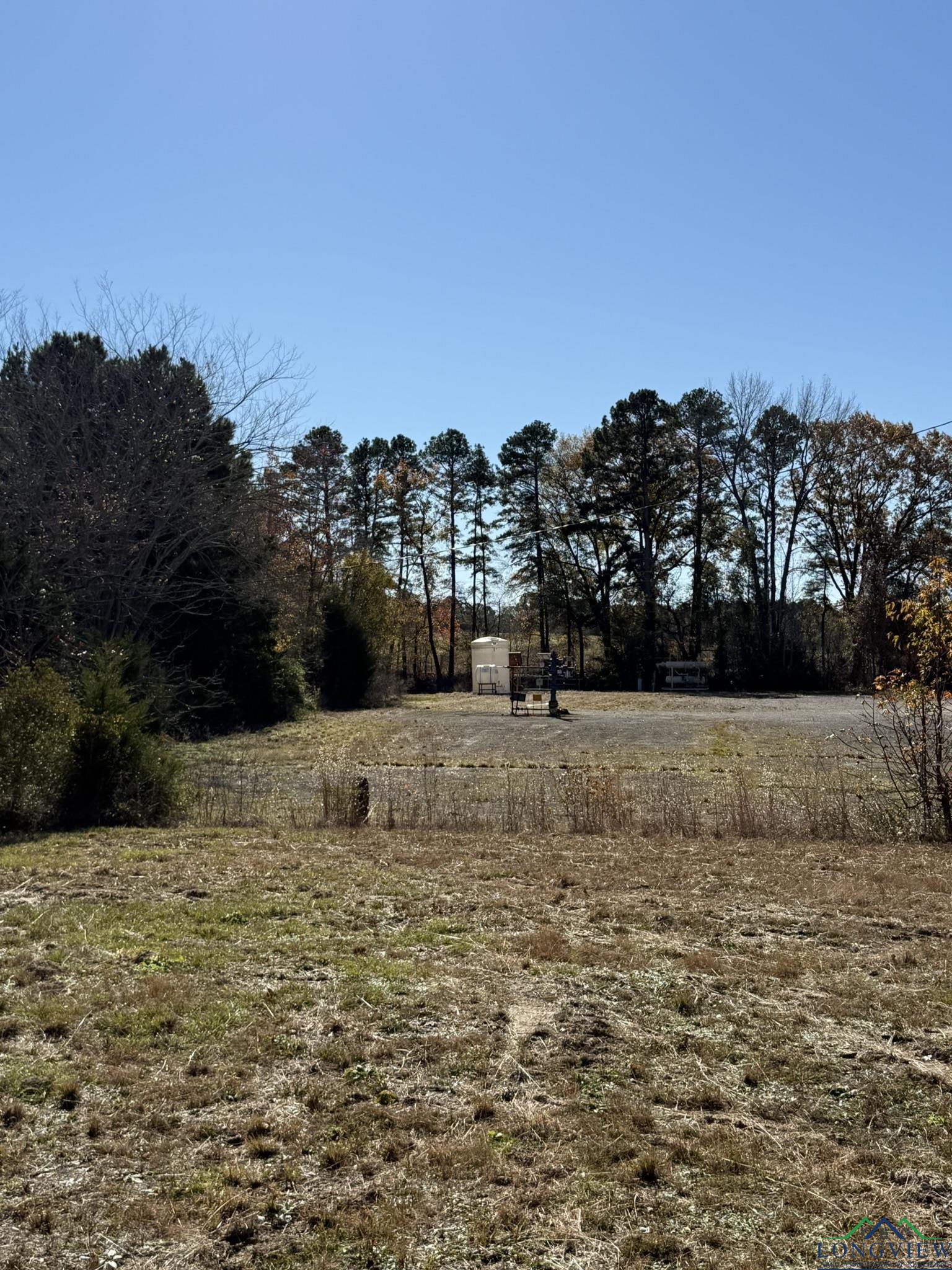 TBD W Bluebird Rd, Gilmer, Texas image 23