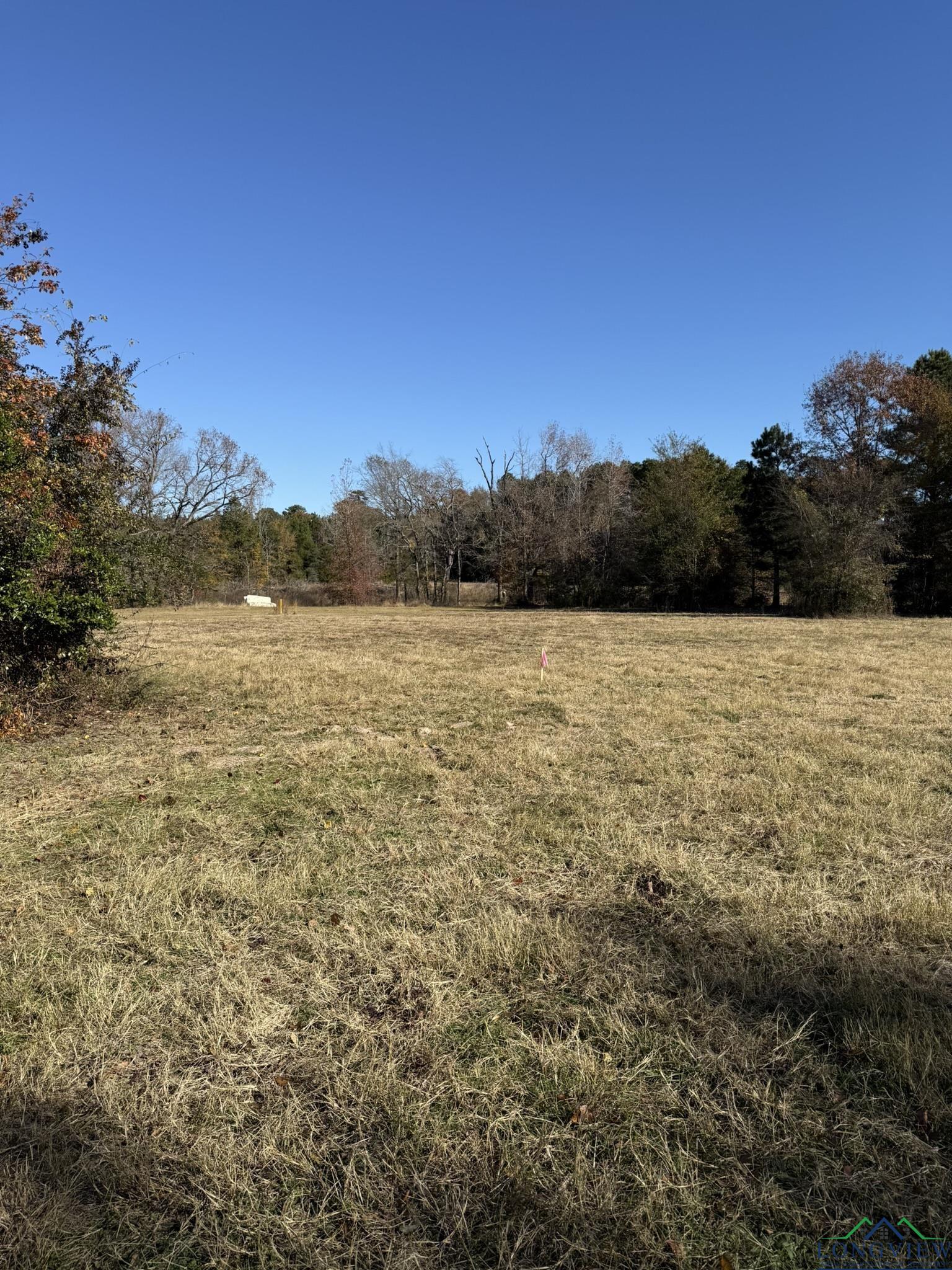 TBD W Bluebird Rd, Gilmer, Texas image 8