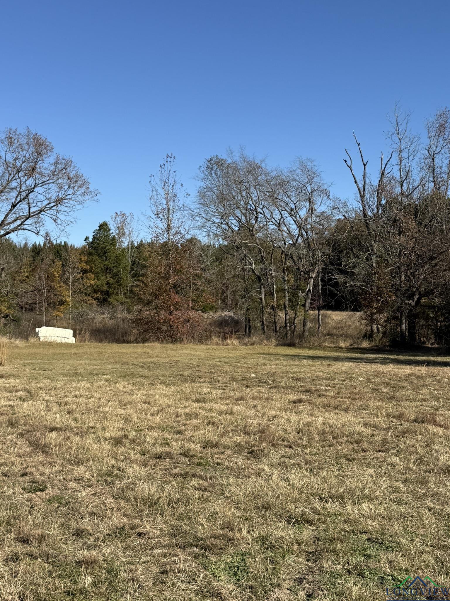 TBD W Bluebird Rd, Gilmer, Texas image 15