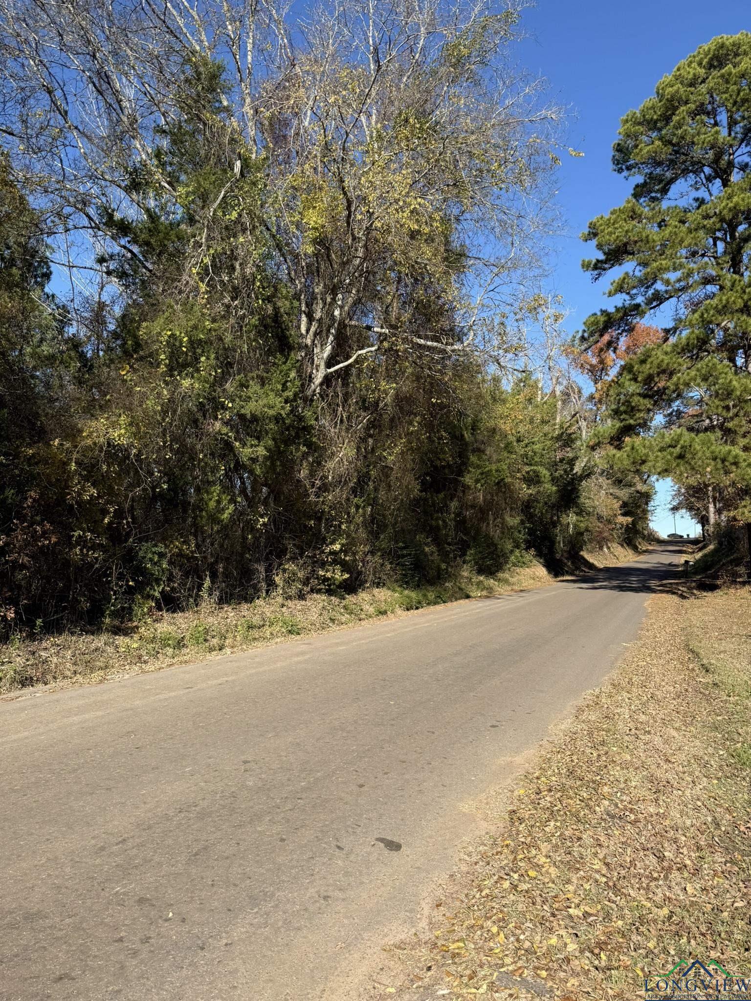 TBD W Bluebird Rd, Gilmer, Texas image 3