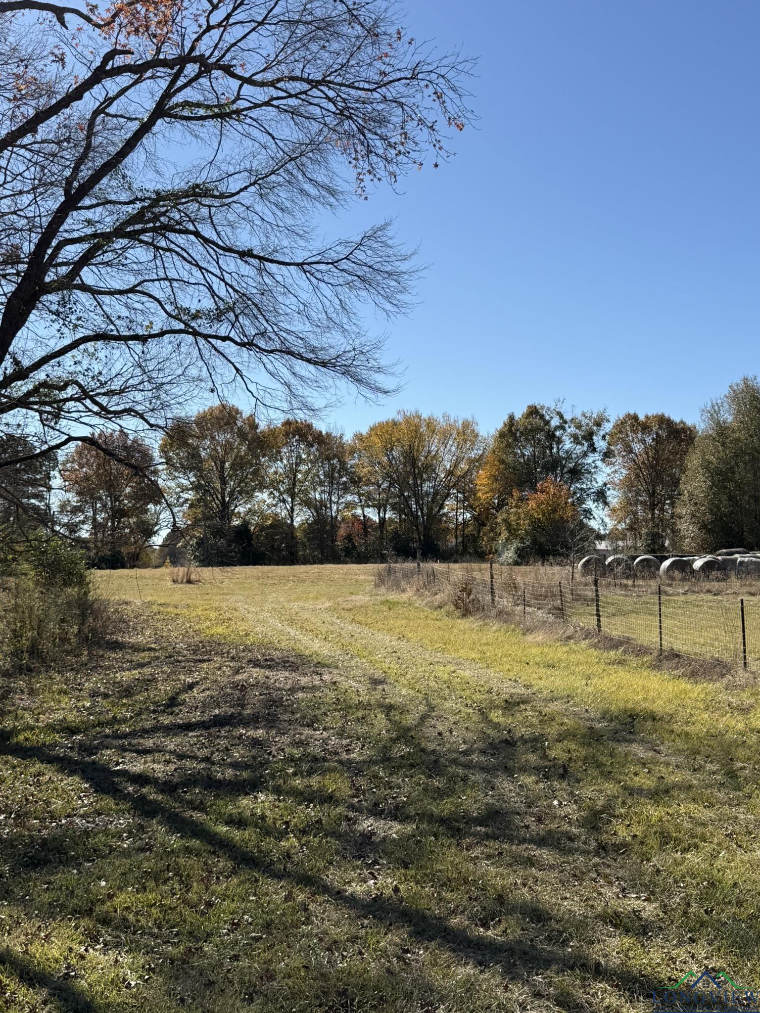 TBD W Bluebird Rd, Gilmer, Texas image 33