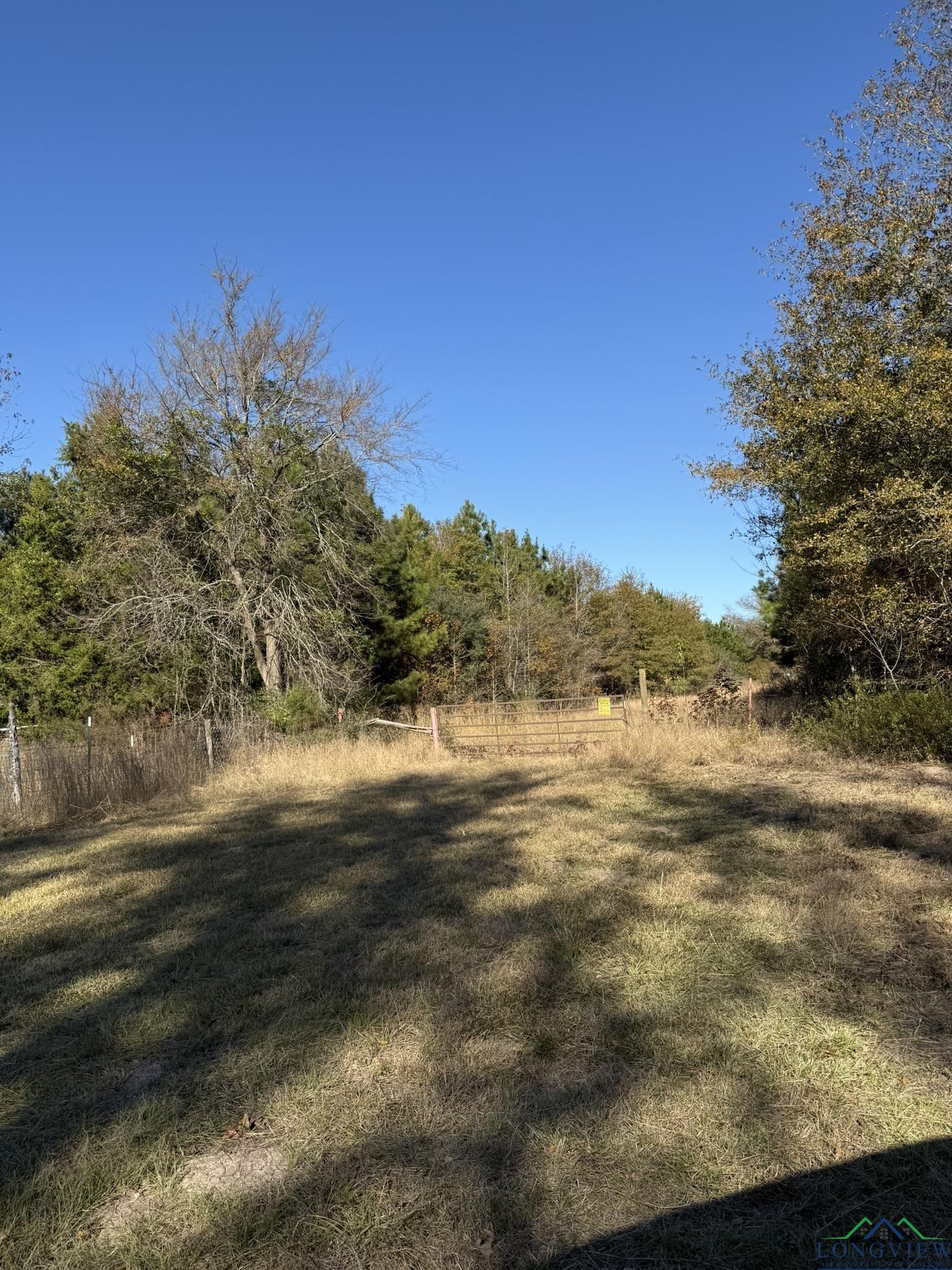 TBD W Bluebird Rd, Gilmer, Texas image 32