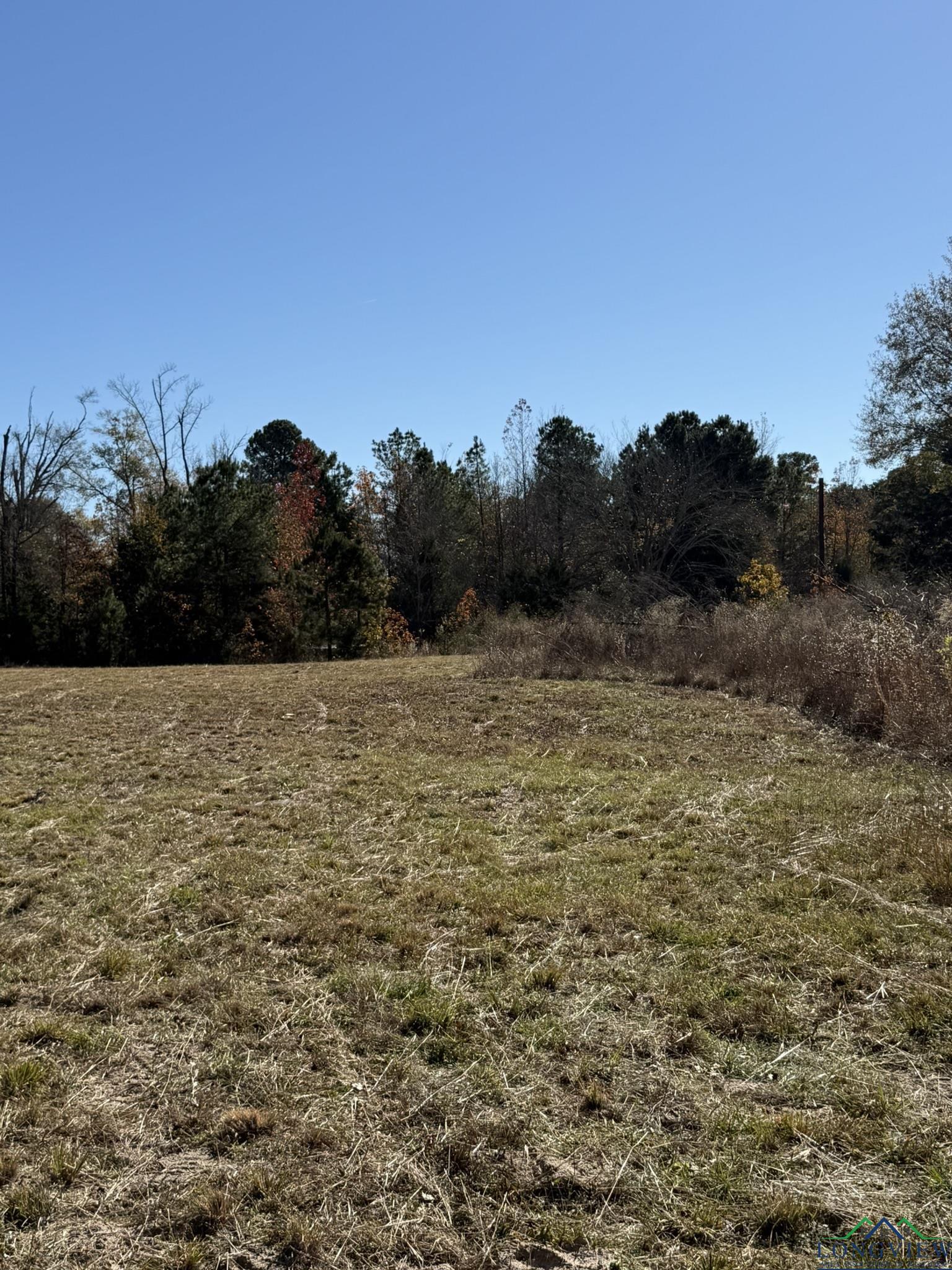 TBD W Bluebird Rd, Gilmer, Texas image 18