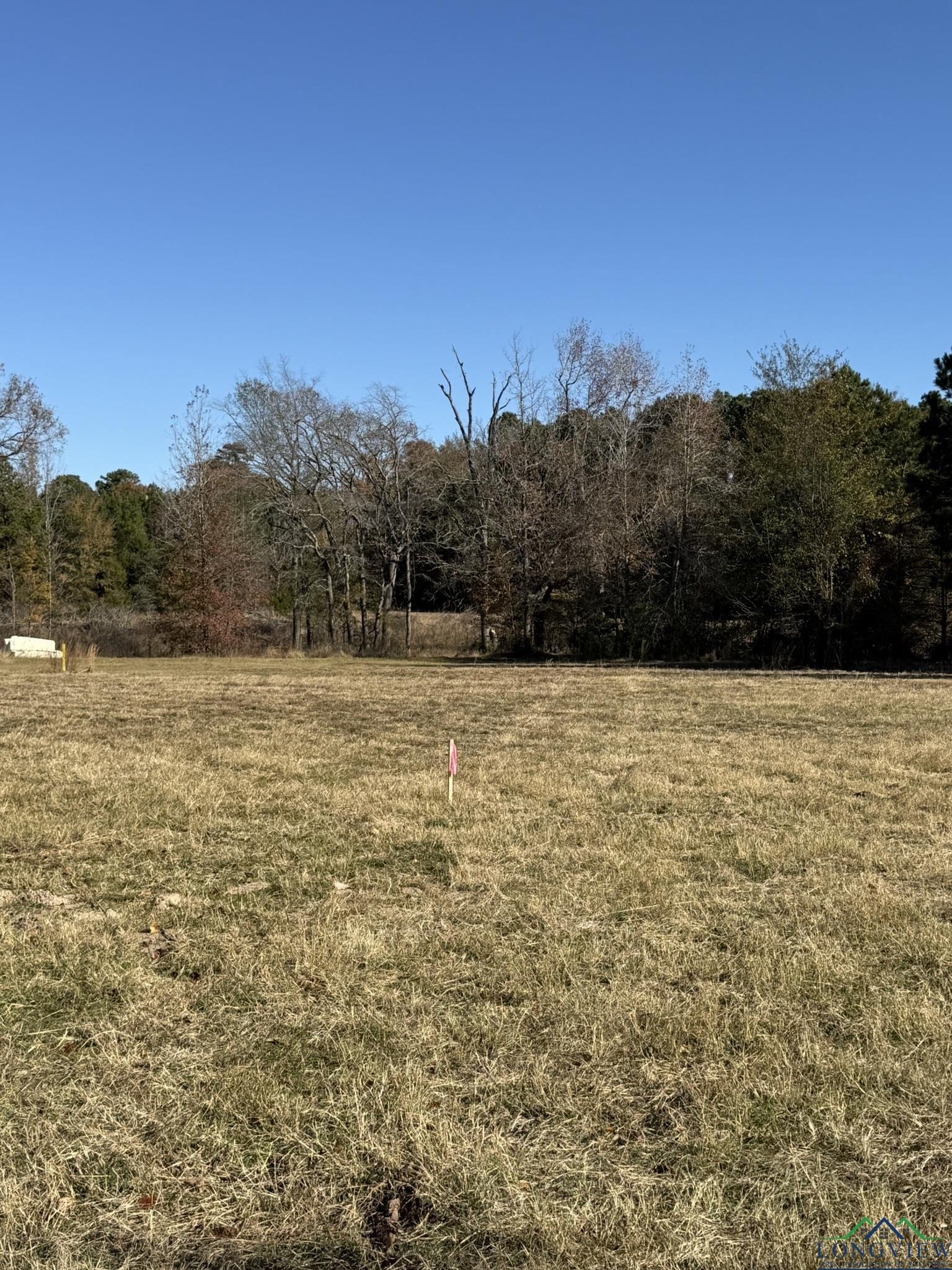 TBD W Bluebird Rd, Gilmer, Texas image 12