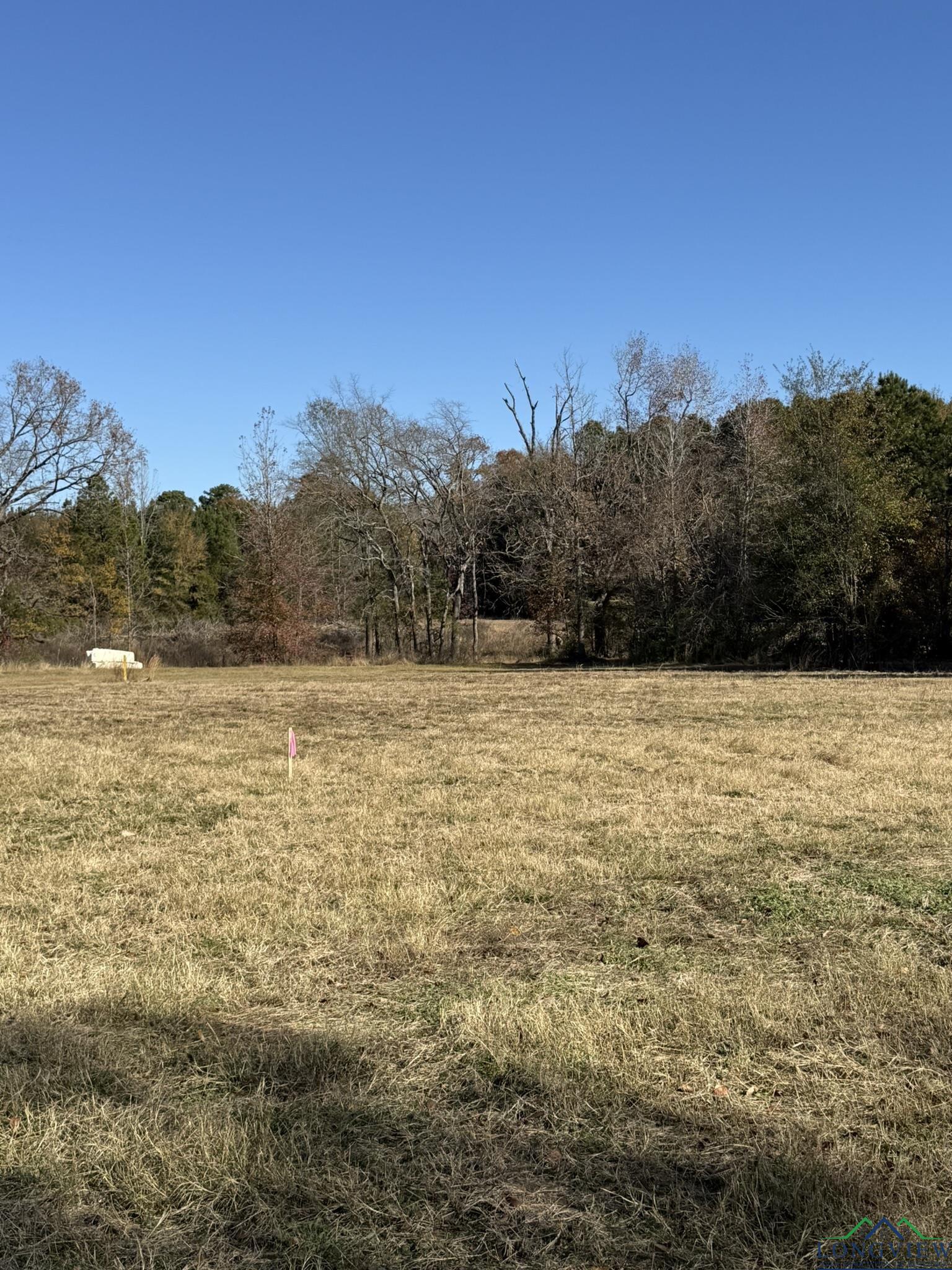 TBD W Bluebird Rd, Gilmer, Texas image 13