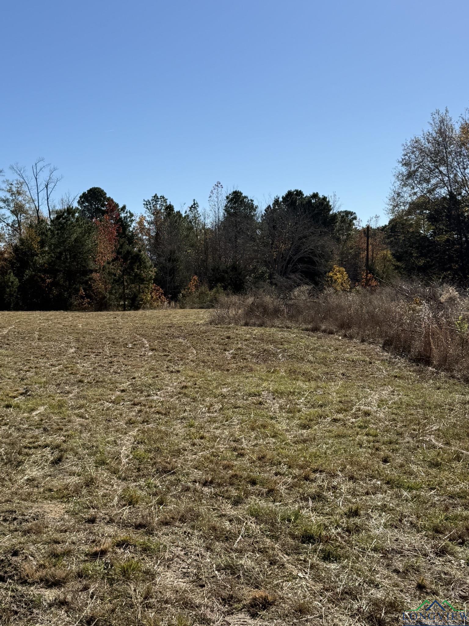 TBD W Bluebird Rd, Gilmer, Texas image 16