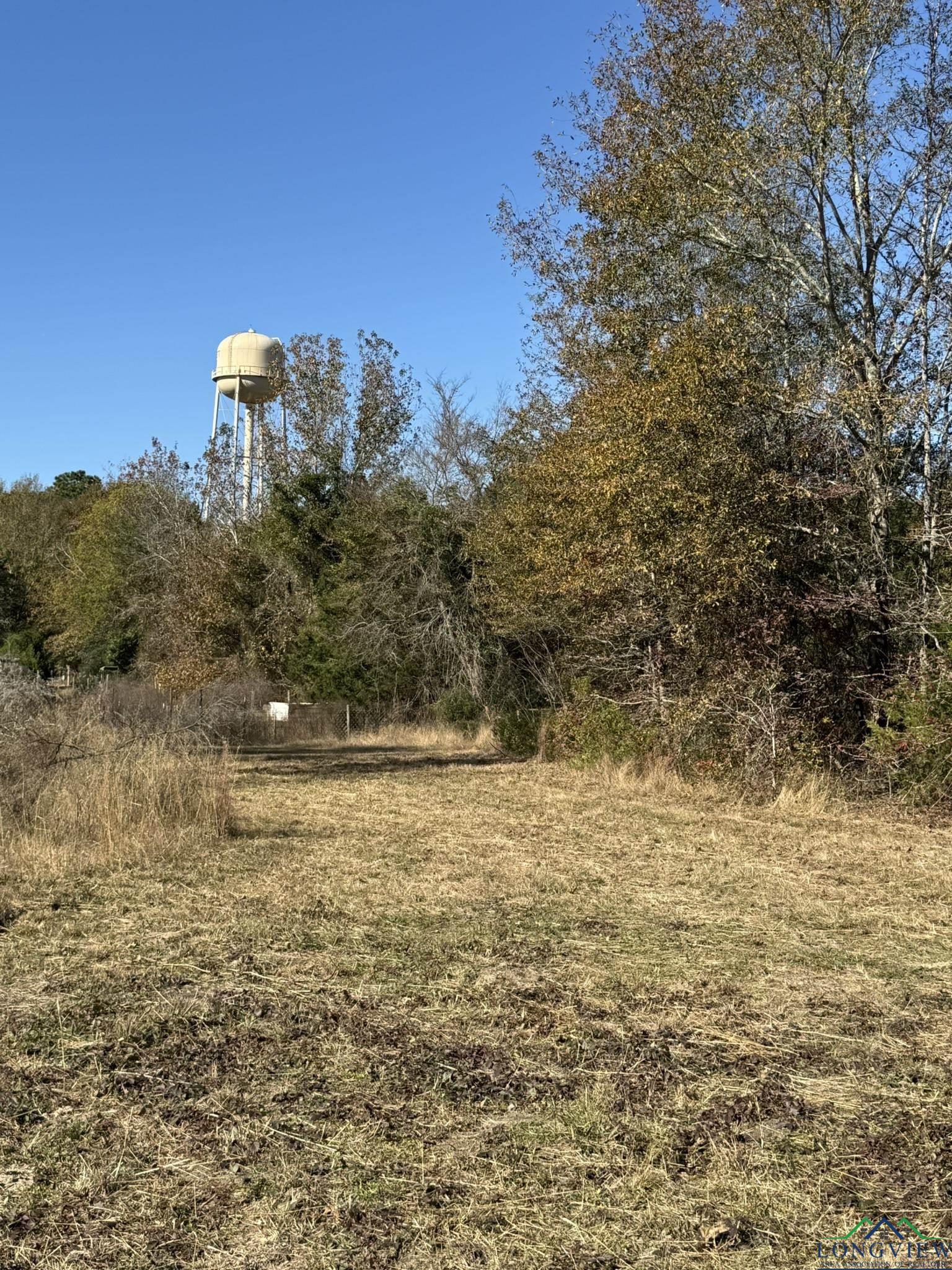 TBD W Bluebird Rd, Gilmer, Texas image 17