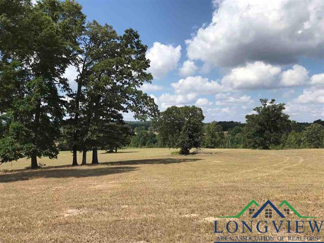 TBD Cr 2160 D, Phase 2, Lot 8, Tatum, Texas image 14