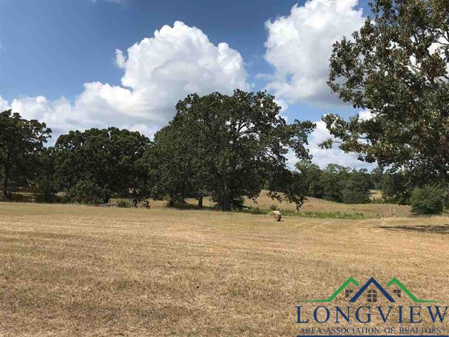 TBD Cr 2160 D, Phase 2, Lot 8, Tatum, Texas image 8