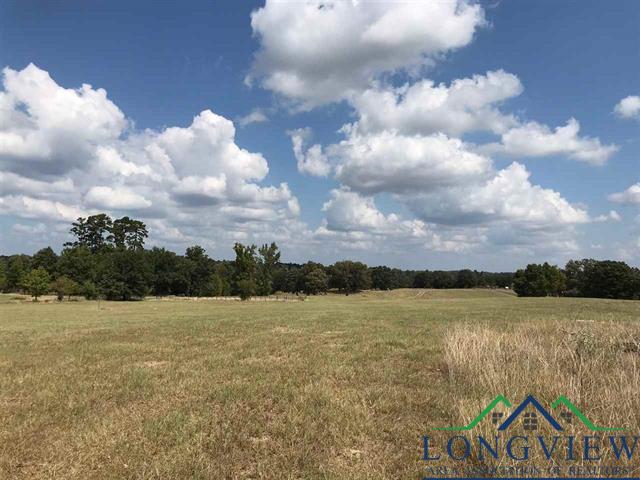 TBD Cr 2160 D, Phase 2, Lot 8, Tatum, Texas image 9