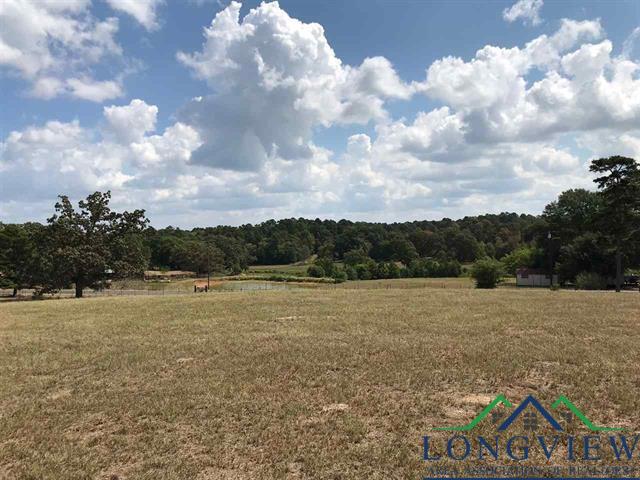 TBD Cr 2160 D, Phase 2, Lot 8, Tatum, Texas image 7