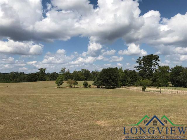 TBD Cr 2160 D, Phase 2, Lot 8, Tatum, Texas image 10