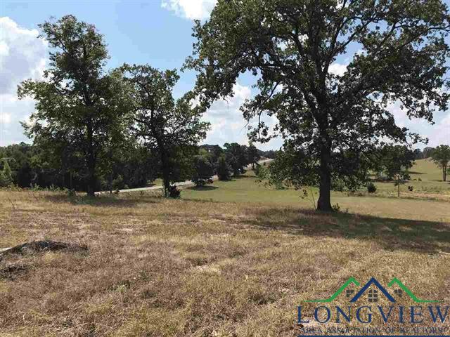 TBD Cr 2160 D, Phase 2, Lot 8, Tatum, Texas image 11