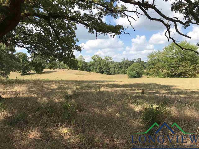 TBD Cr 2160 D, Phase 2, Lot 8, Tatum, Texas image 13