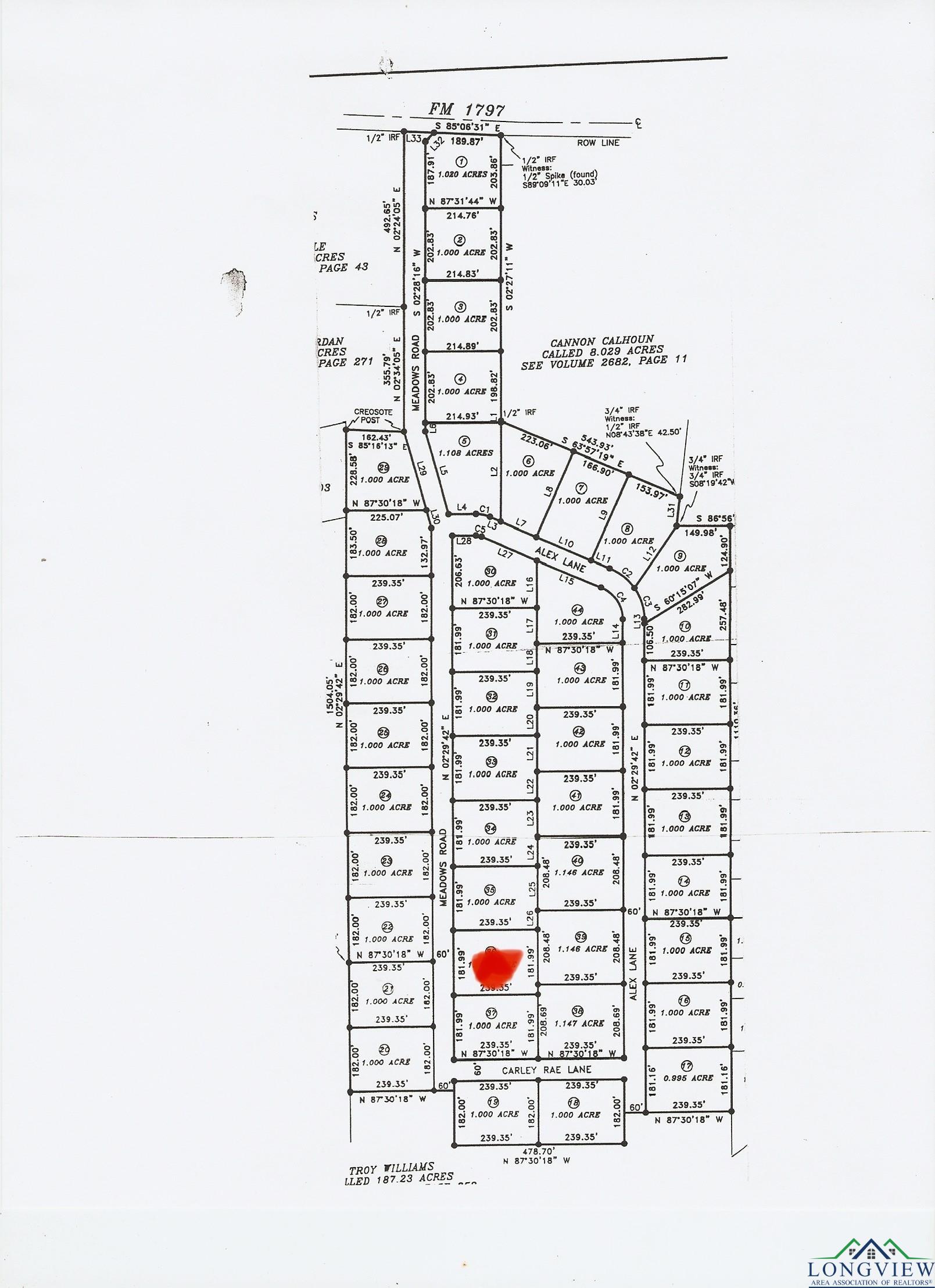 TBD Lot 36 Cr 2204 D & Fm 1797, Tatum, Texas image 2