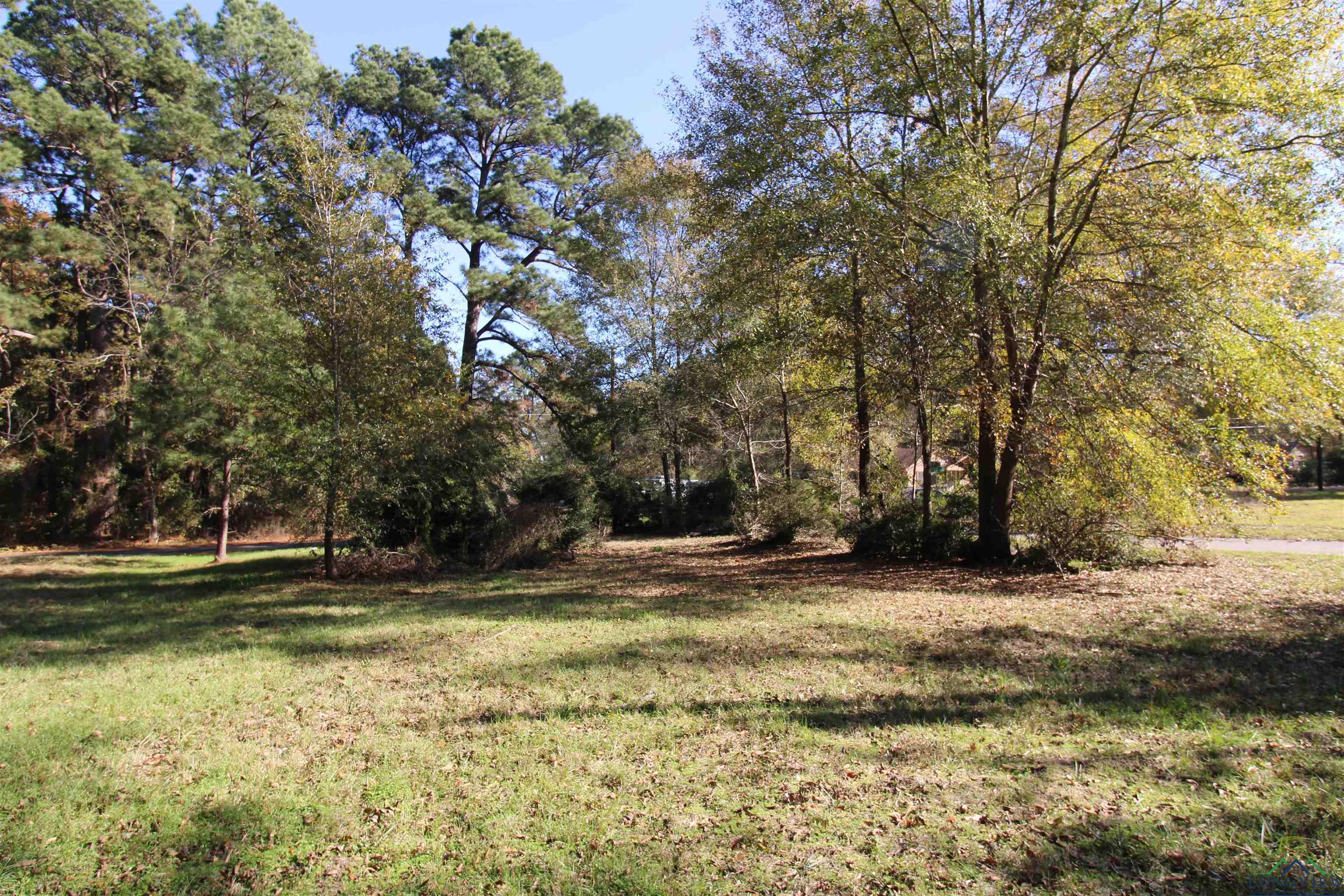 2325 Bates St, Longview, Texas image 4