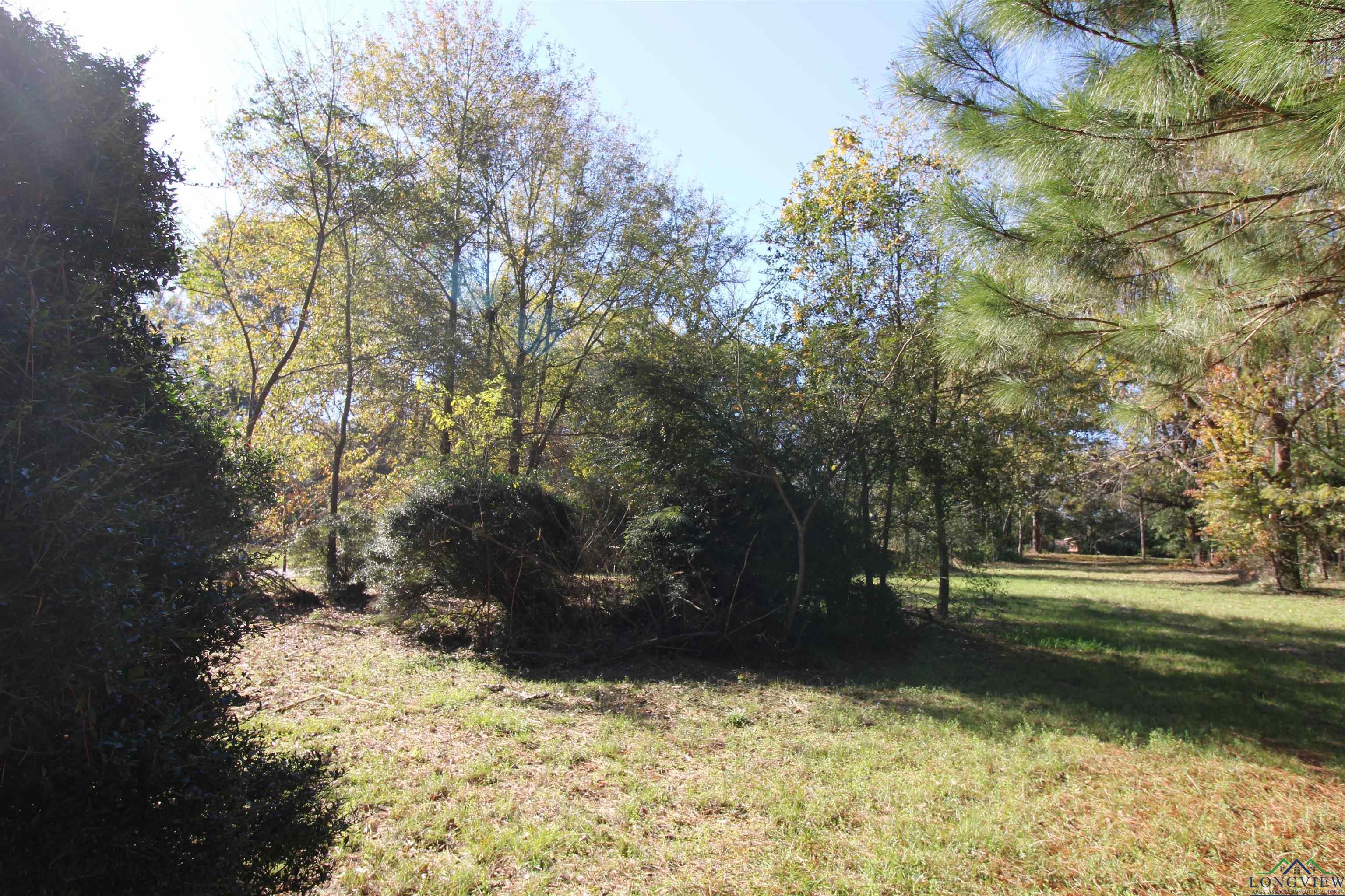 2325 Bates St, Longview, Texas image 5