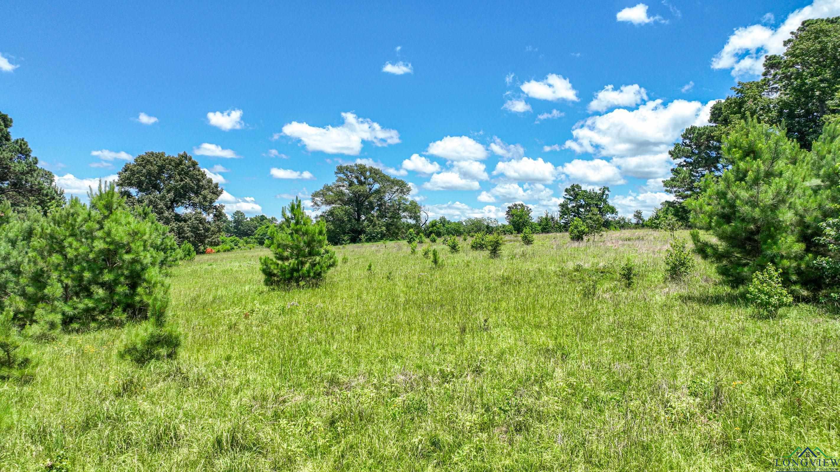 21574 Cr 3107, Gladewater, Texas image 4