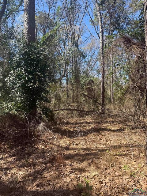 Homes For Sale - TBD King Arthur Court<br/> Scroggins, TX 75480