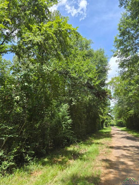 Vacant Land For Sale - TBD Cr 154<br/> Carthage, TX 75601