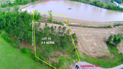 Vacant Land For Sale - TBD Cardinal Court<br/> Diana, TX 75640