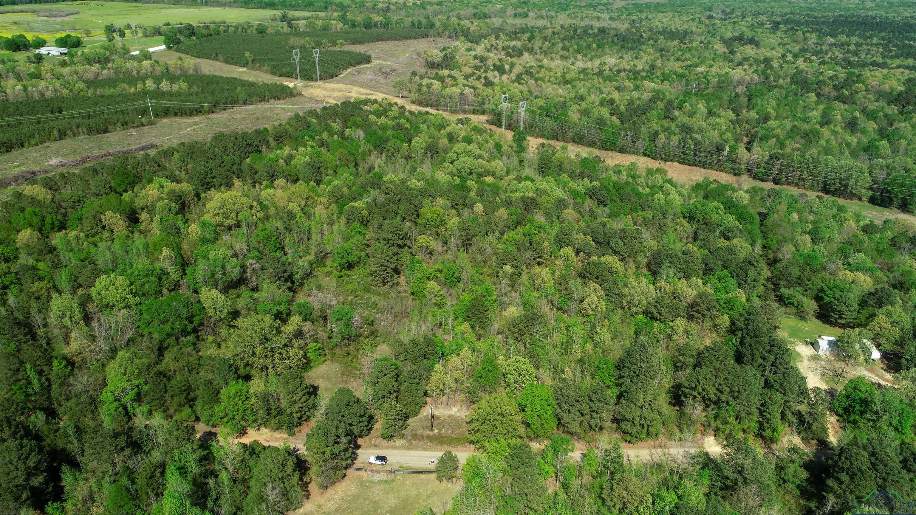 TBD County Road 4244, Pittsburg, Texas image 1