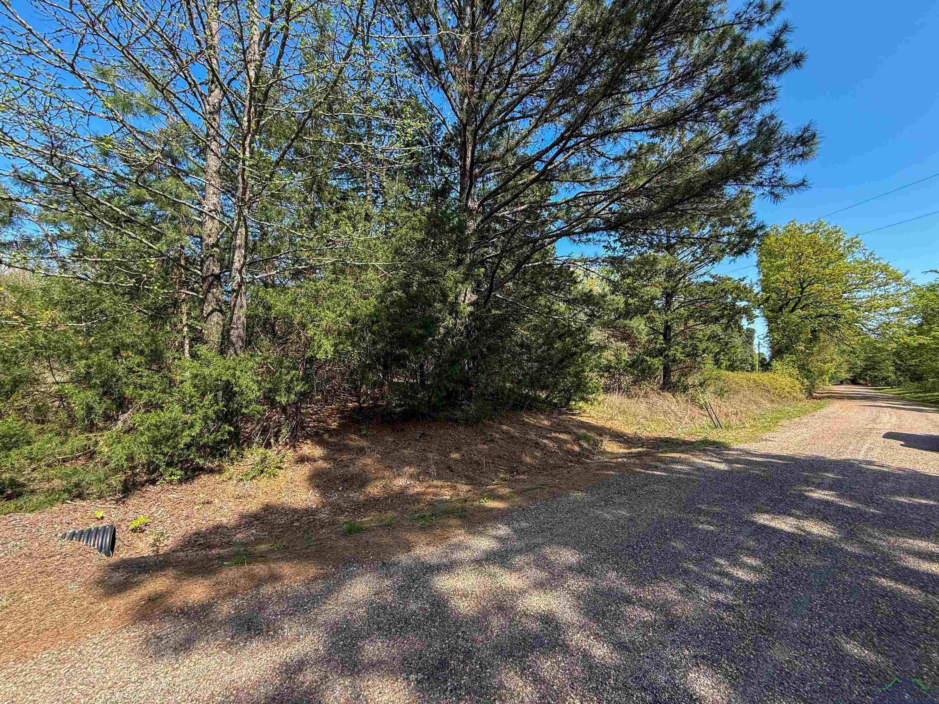 TBD County Road 4244, Pittsburg, Texas image 9
