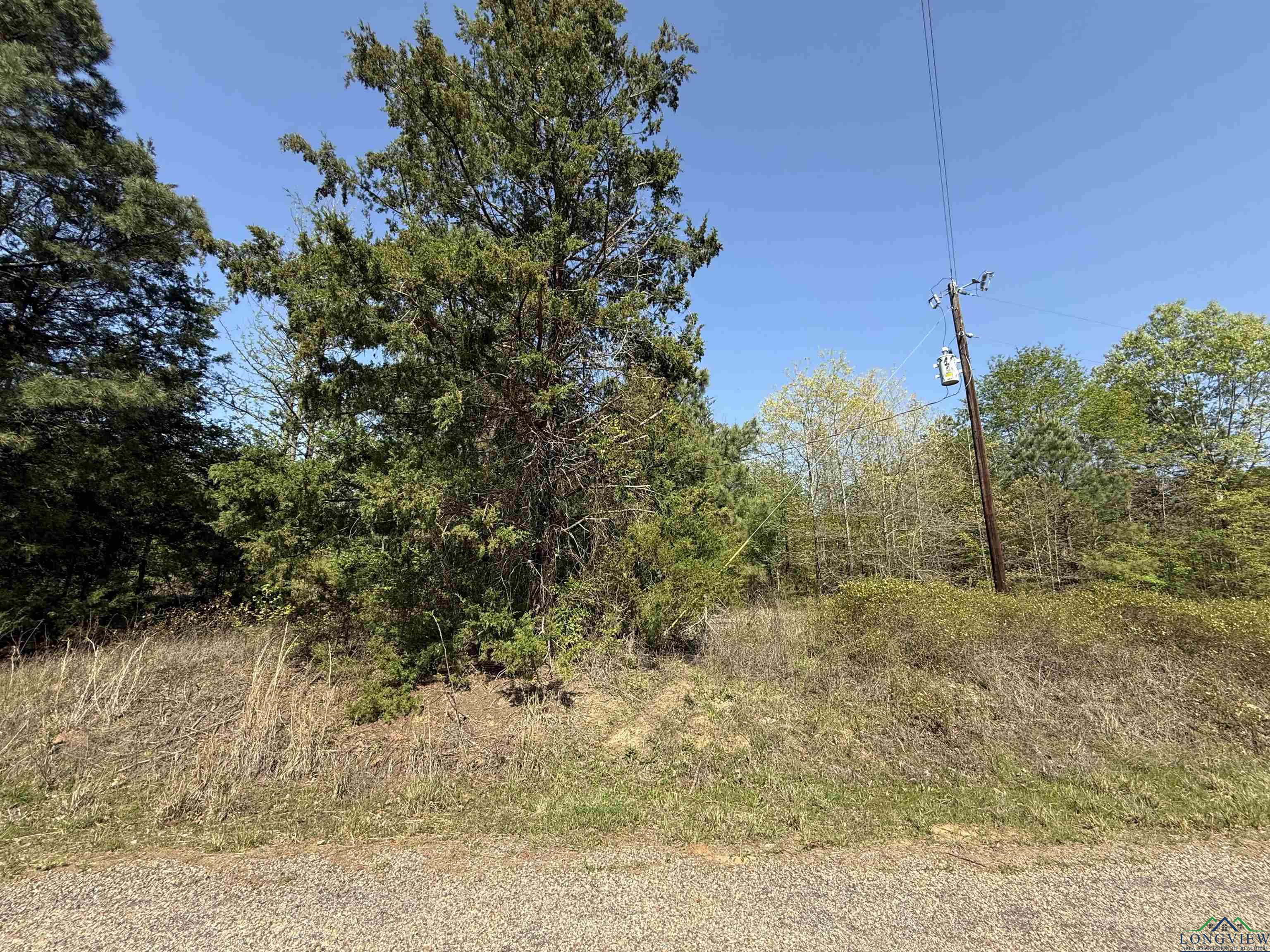 TBD County Road 4244, Pittsburg, Texas image 10