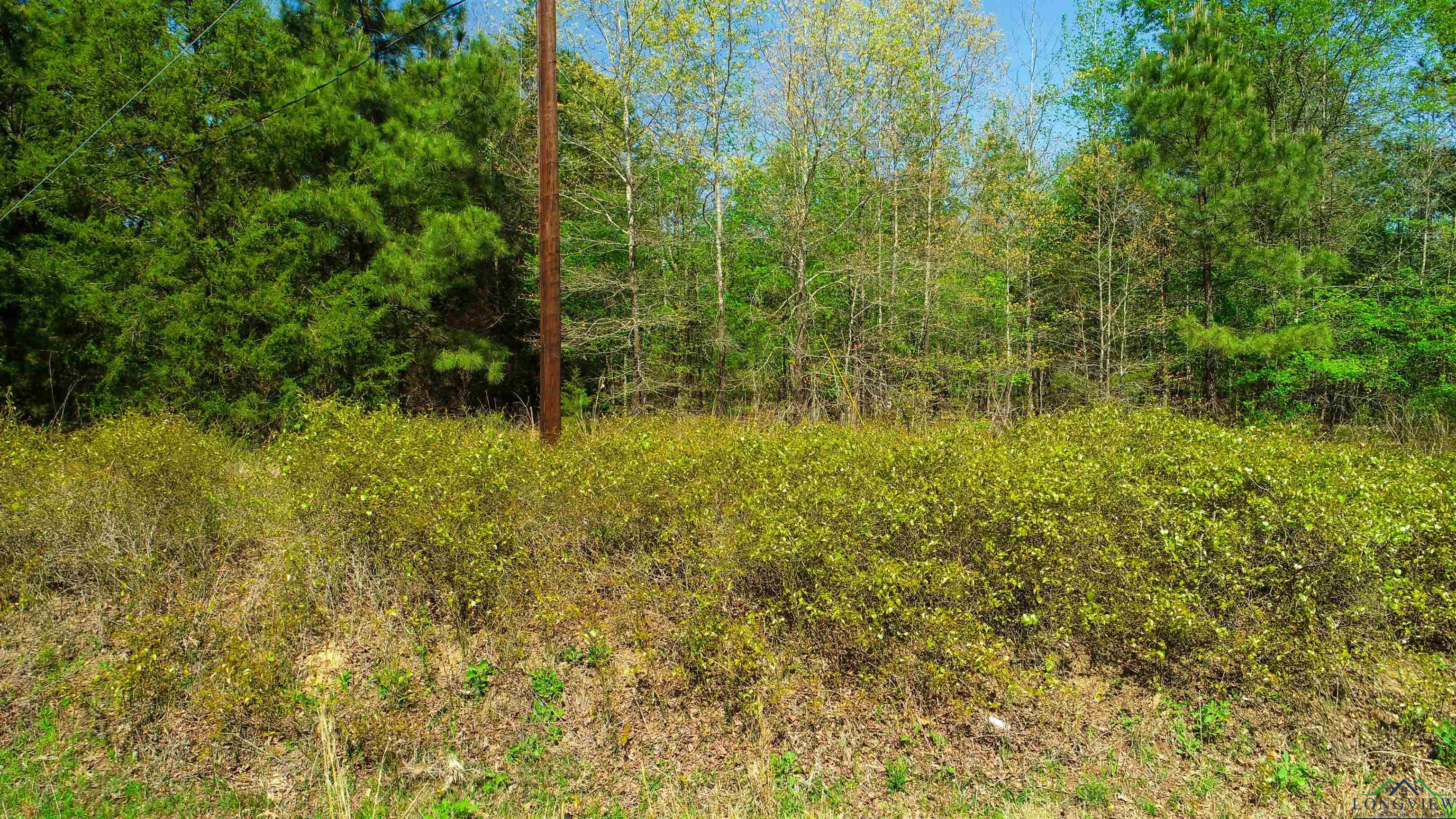 TBD County Road 4244, Pittsburg, Texas image 3