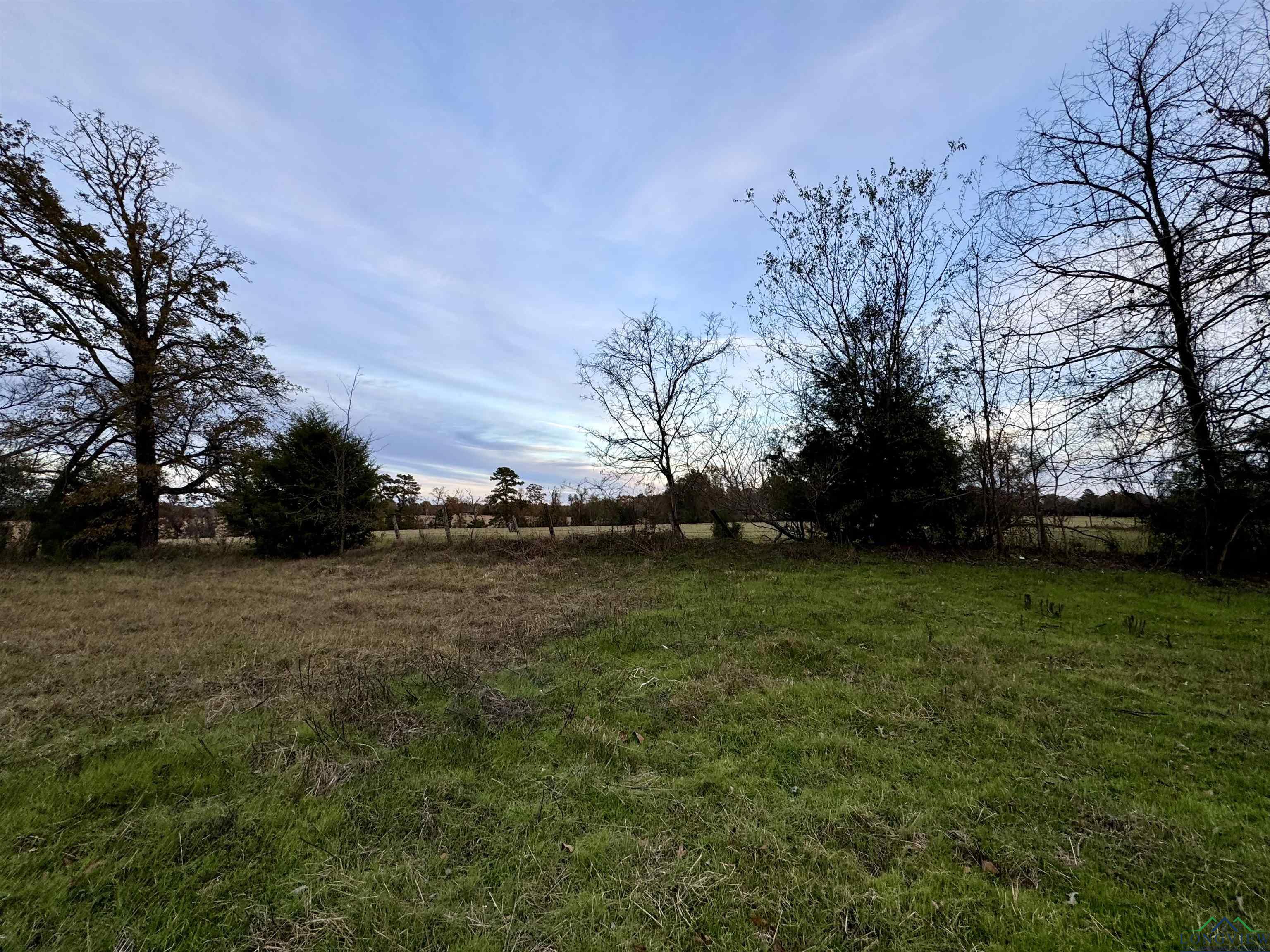 Curtis Black Rd, Hallsville, Texas image 4