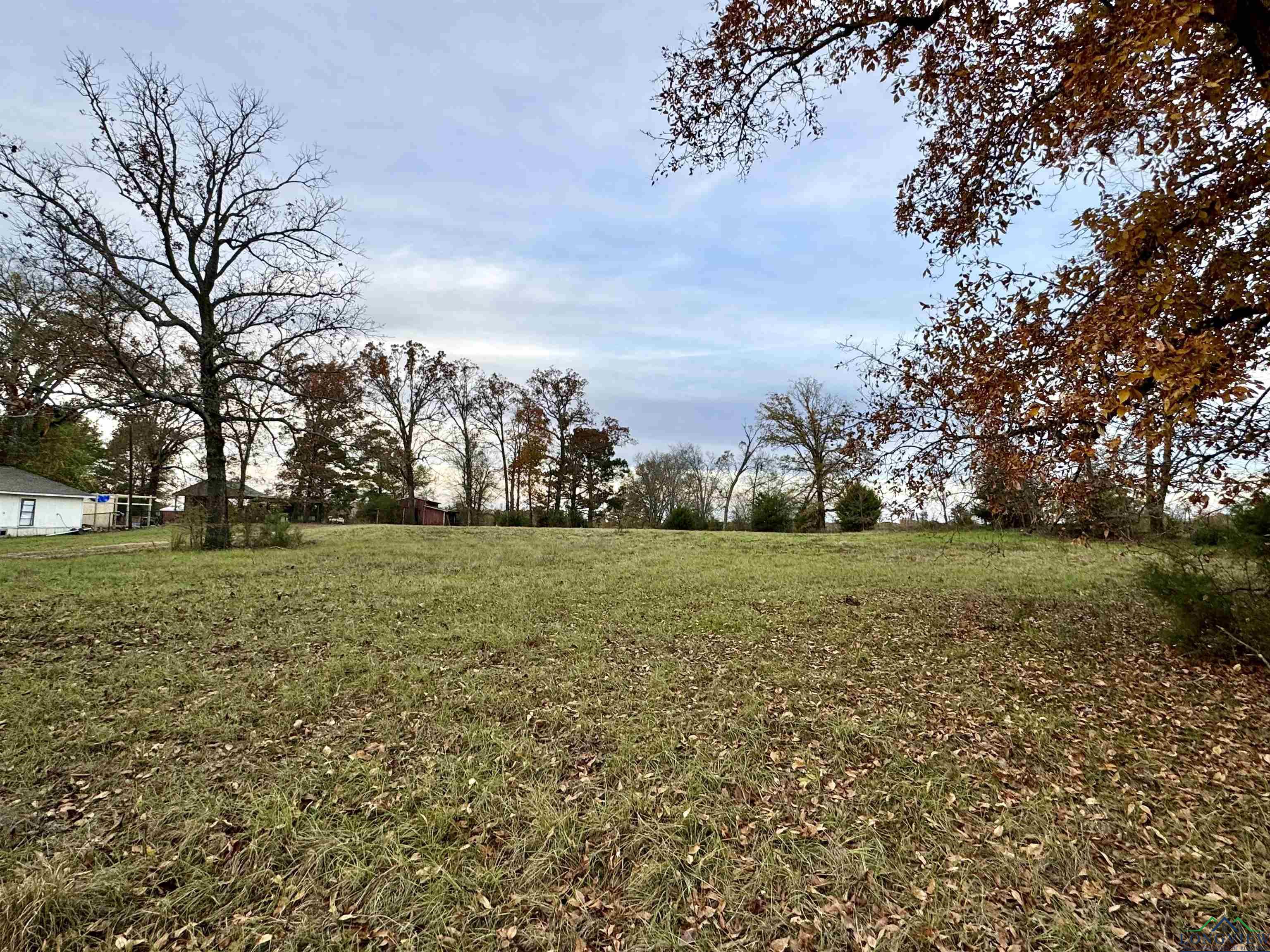 Curtis Black Rd, Hallsville, Texas image 12