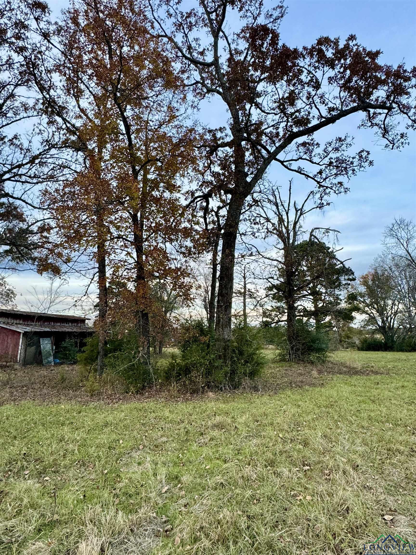 Curtis Black Rd, Hallsville, Texas image 9