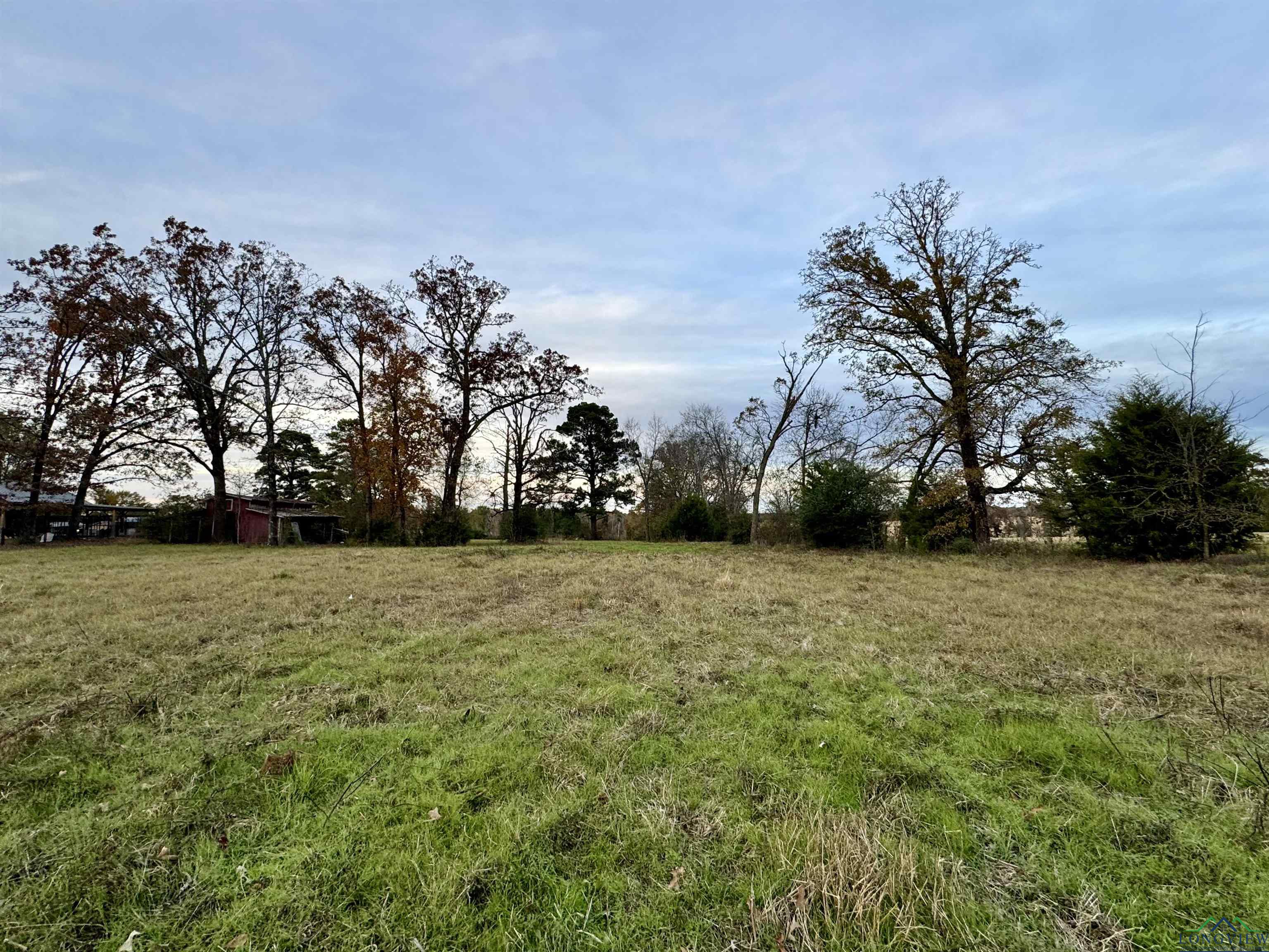 Curtis Black Rd, Hallsville, Texas image 2