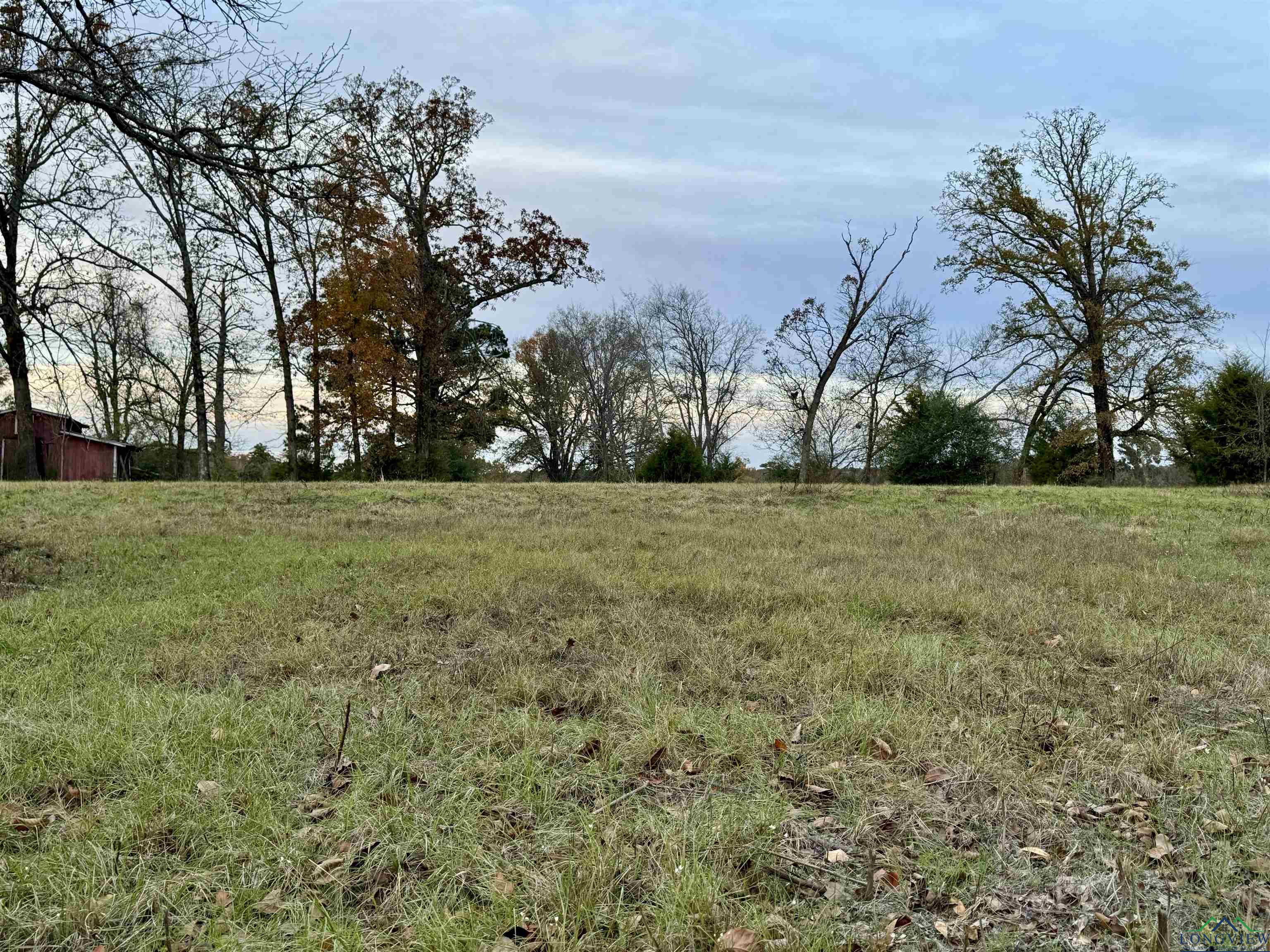 Curtis Black Rd, Hallsville, Texas image 1