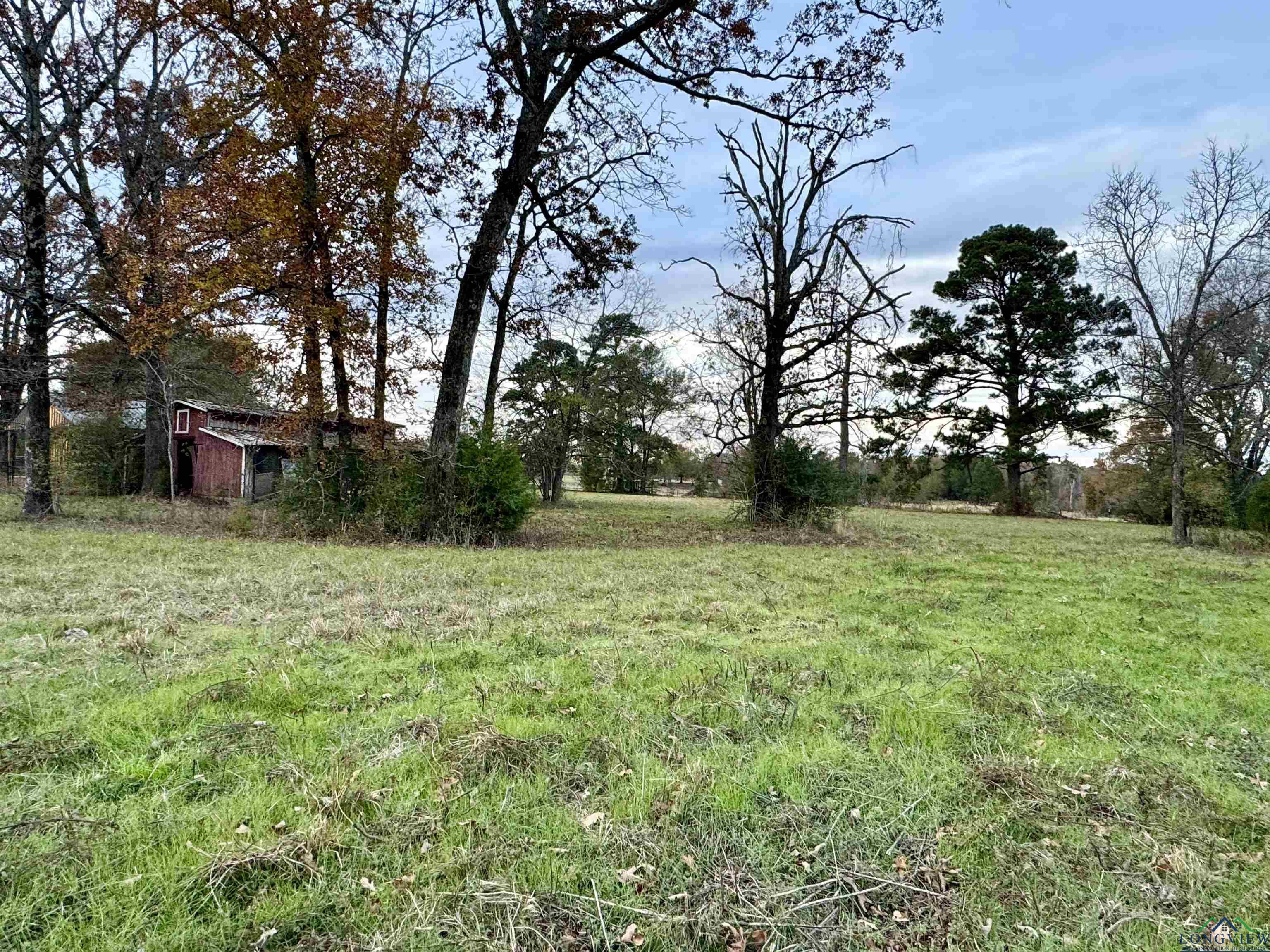 Curtis Black Rd, Hallsville, Texas image 8