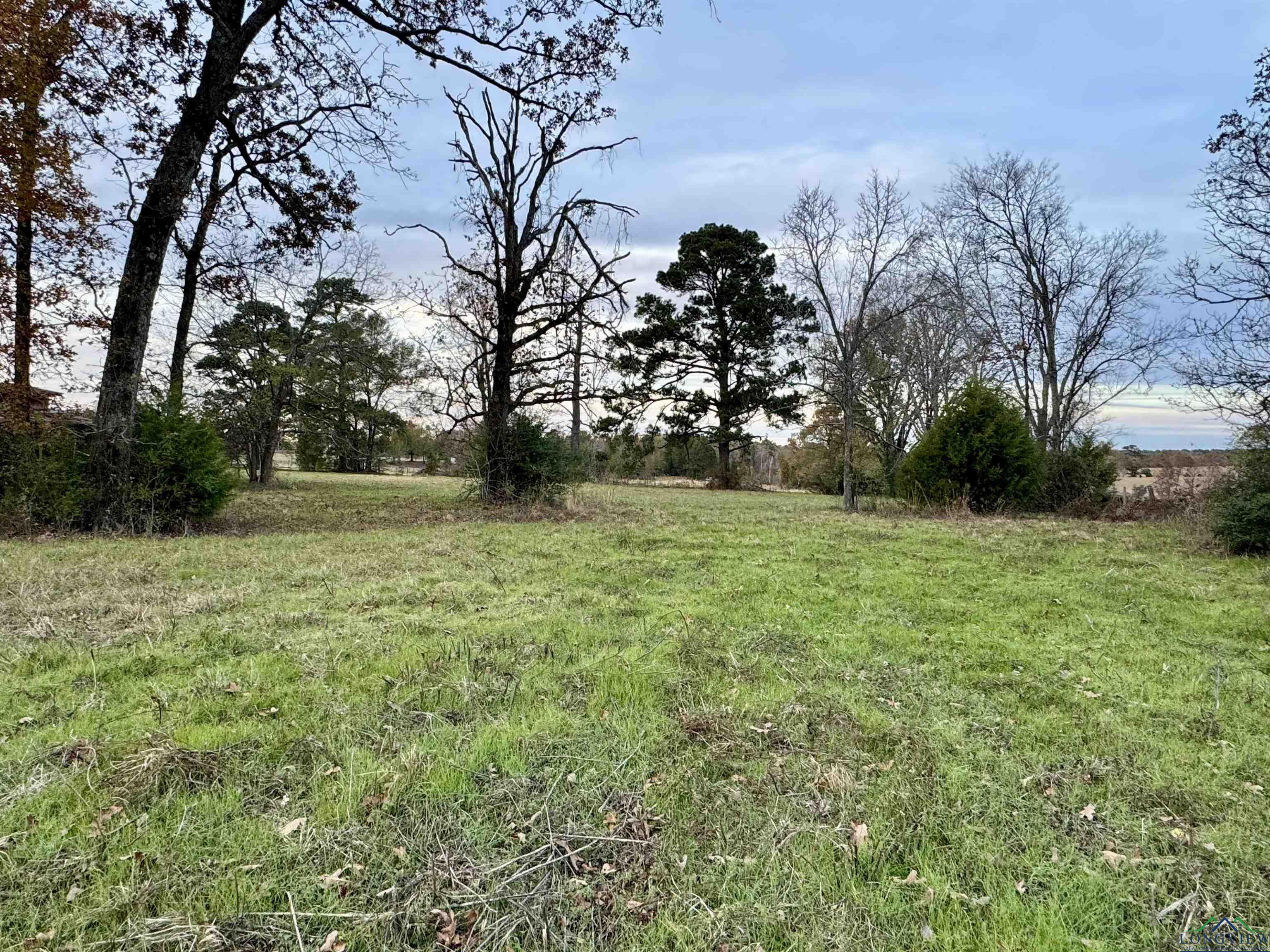 Curtis Black Rd, Hallsville, Texas image 7