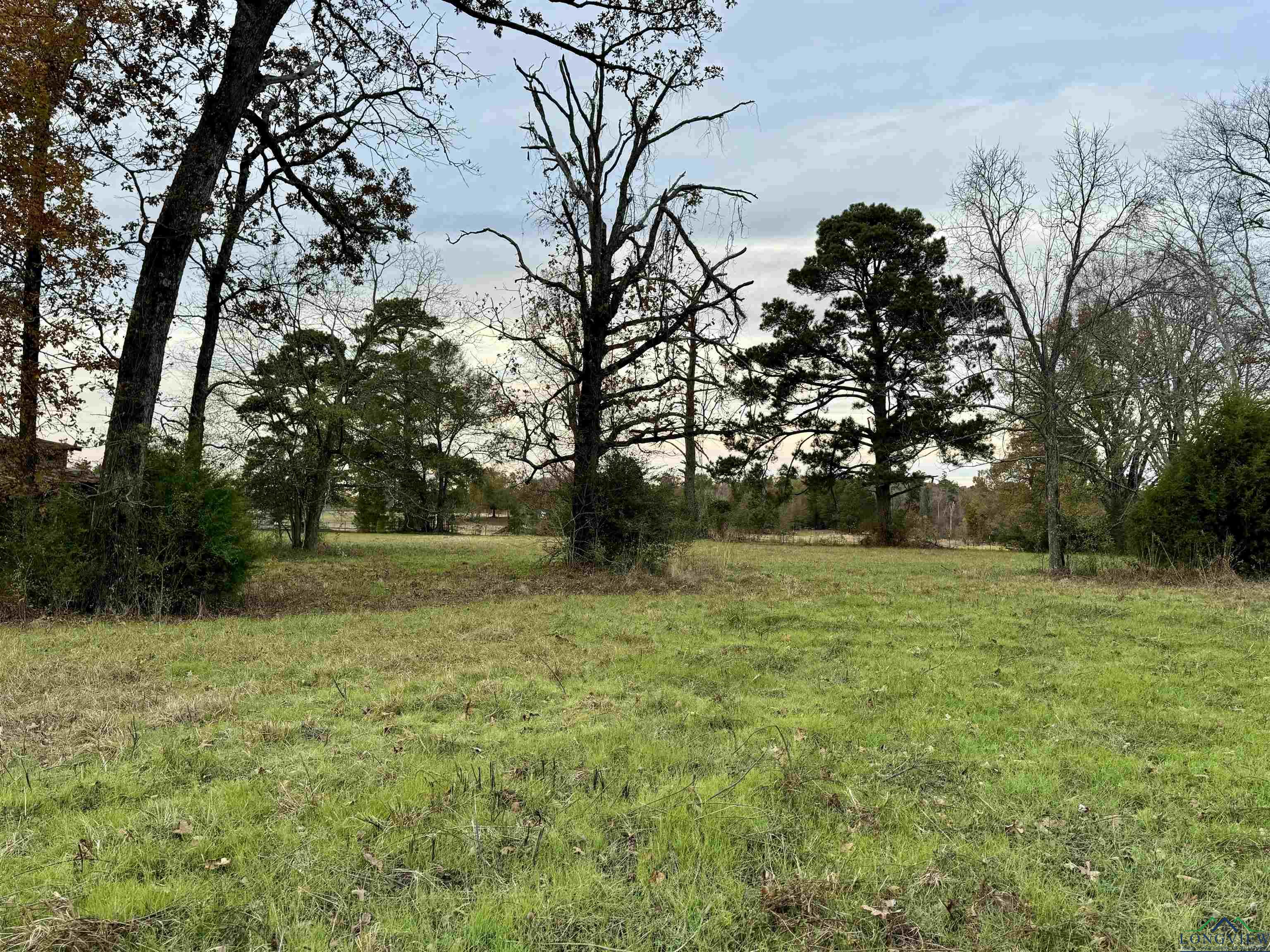 Curtis Black Rd, Hallsville, Texas image 6