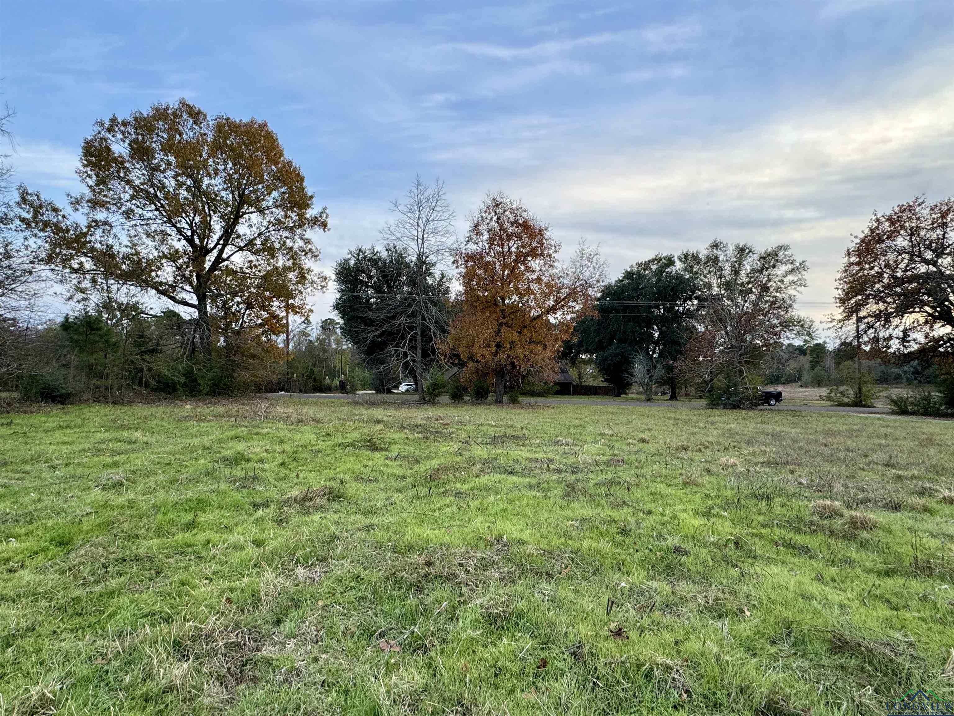 Curtis Black Rd, Hallsville, Texas image 5