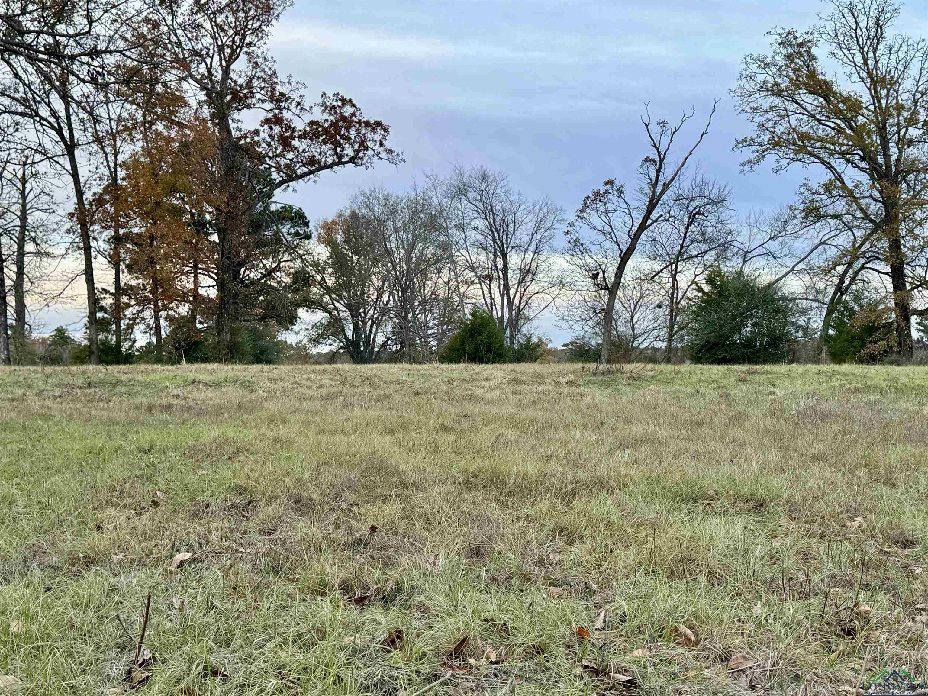 Curtis Black Rd, Hallsville, Texas image 10