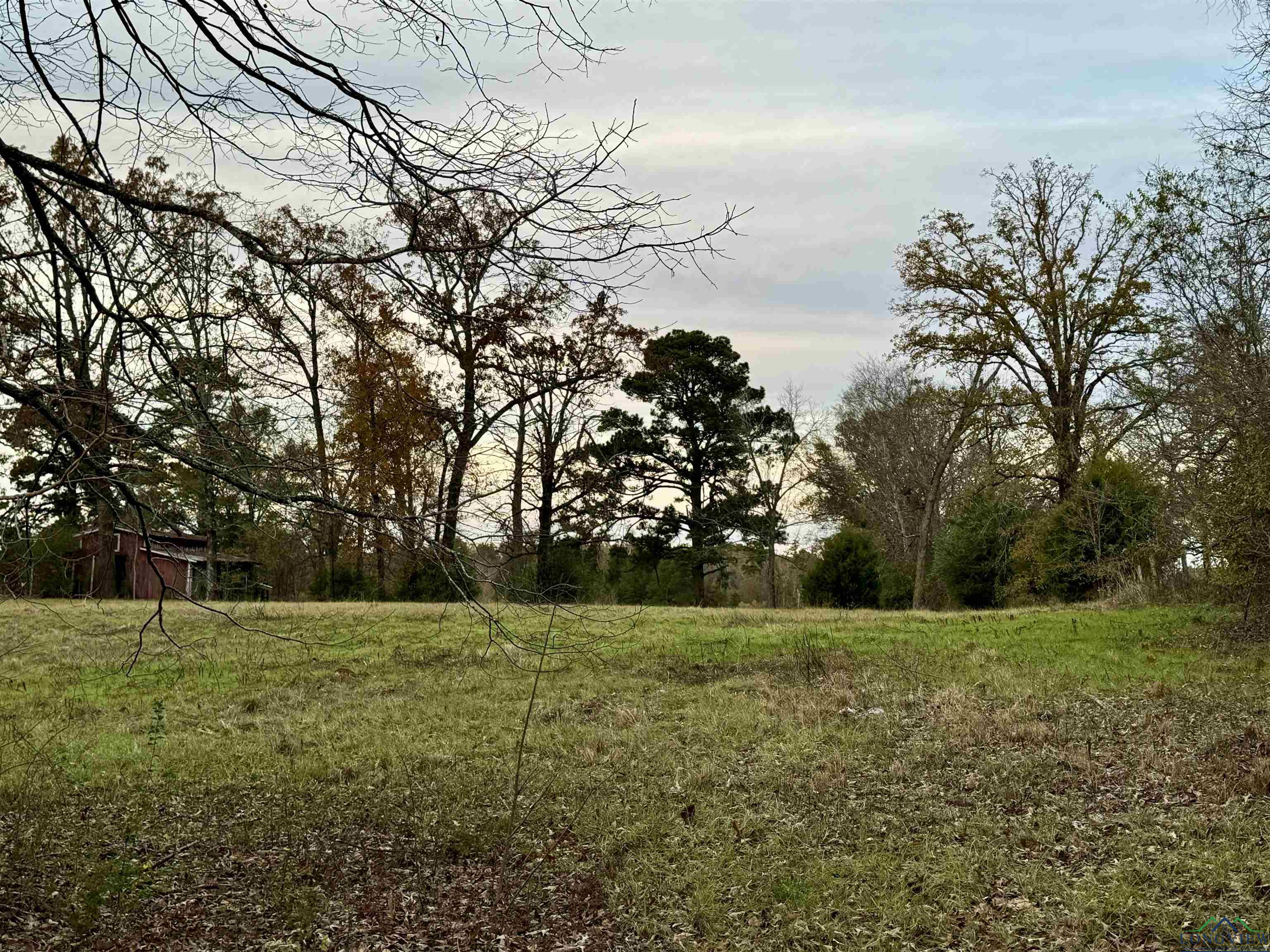 Curtis Black Rd, Hallsville, Texas image 3