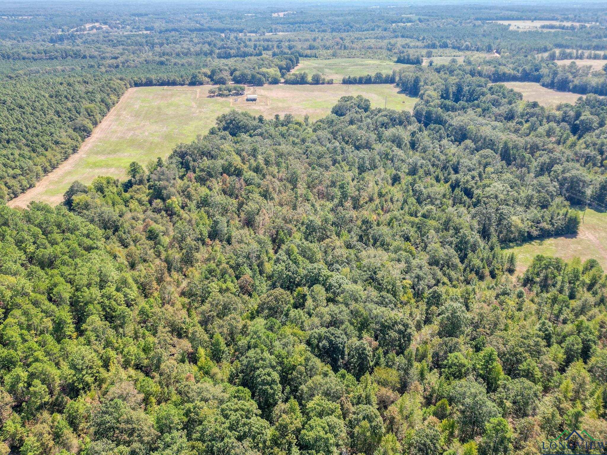 TBD Cr 2737 & 2738, Naples, Texas image 7