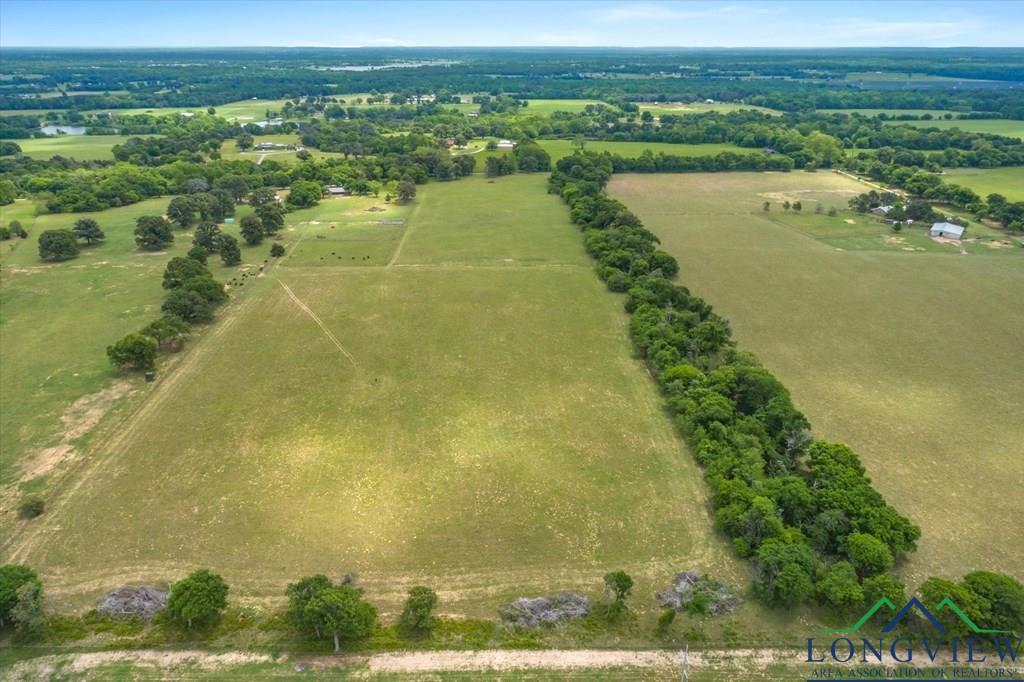 20+/- Acres Vz County Road 4412 Road, Ben Wheeler, Texas image 8