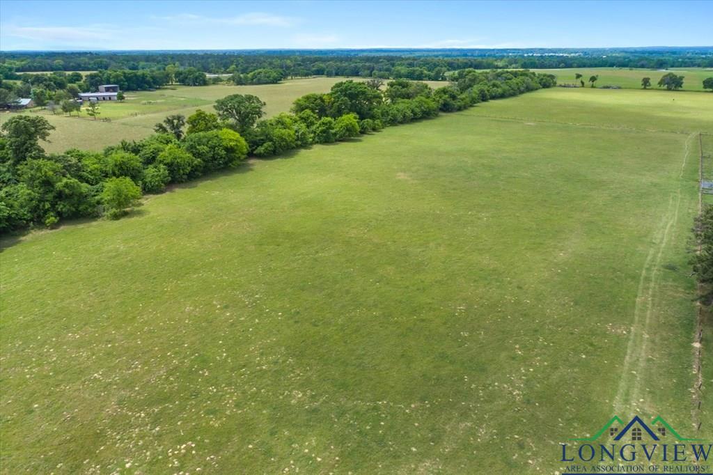 20+/- Acres Vz County Road 4412 Road, Ben Wheeler, Texas image 7