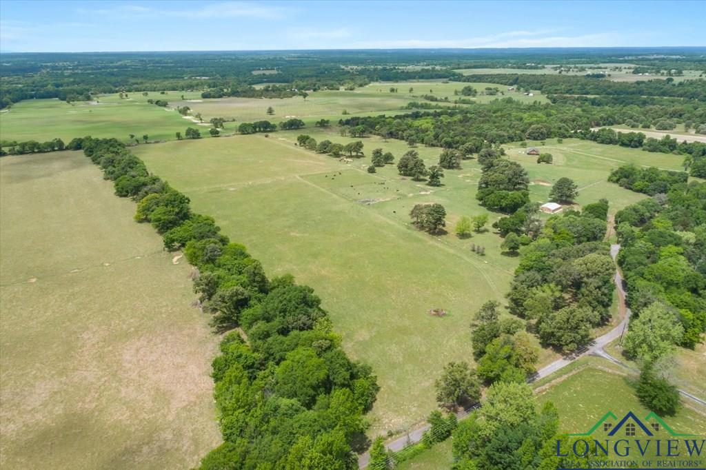 20+/- Acres Vz County Road 4412 Road, Ben Wheeler, Texas image 4