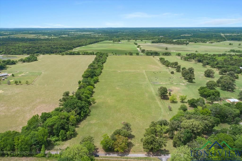 20+/- Acres Vz County Road 4412 Road, Ben Wheeler, Texas image 3