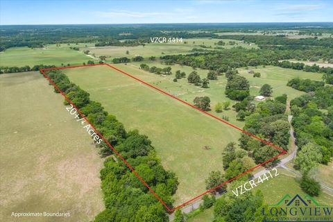 Vacant Land For Sale - 20+/- ACRES Vz County Road 4412<br/> Ben Wheeler, TX 75754