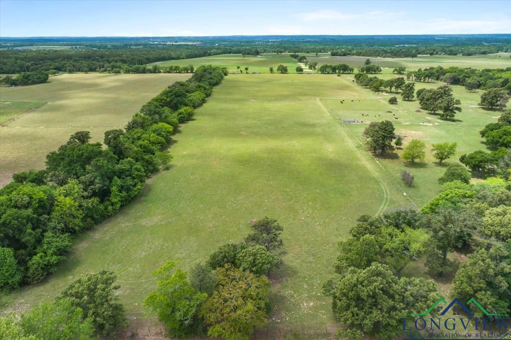 20+/- Acres Vz County Road 4412 Road, Ben Wheeler, Texas image 6